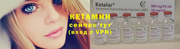 твердый Шали