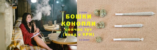 твердый Шали
