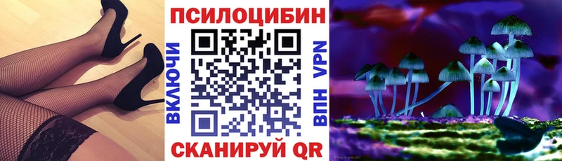 ссылка на мегу ССЫЛКА  Брянск  Галлюциногенные грибы мицелий 