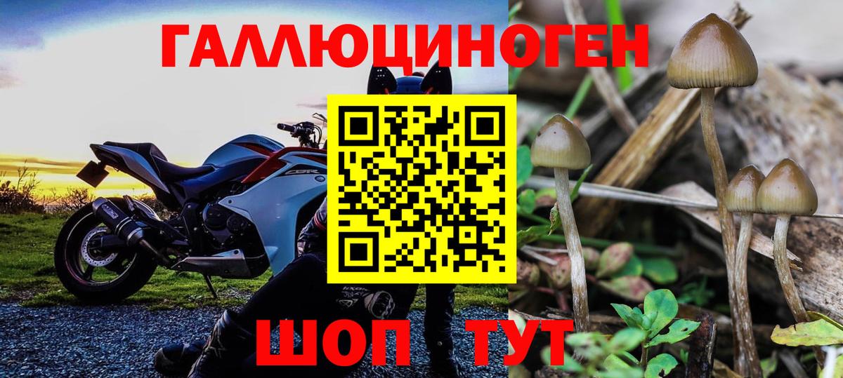 Галлюциногенные грибы Magic Shrooms Брянск