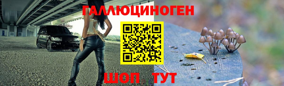 Брянск  Галлюциногенные грибы Psilocybine cubensis  Галлюциногенные грибы Psilocybine cubensis  Вход с VPN 